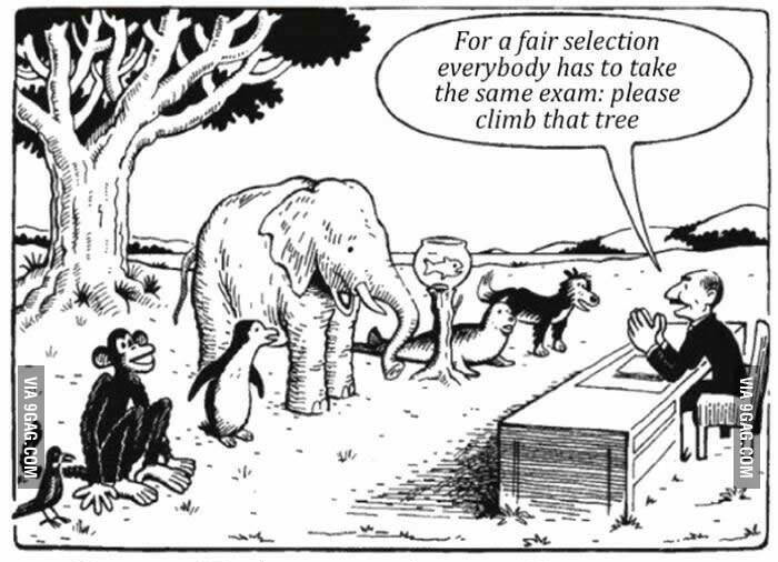 Our Education System